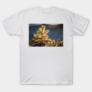 Glowing Cholla Cactus T-Shirt